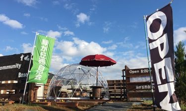 2019年度 活動報告