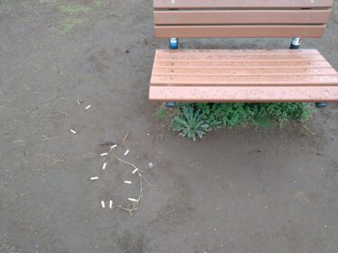 ゴミのポイ捨て